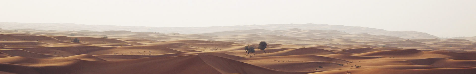 ɽ-ԴƼ޹˾